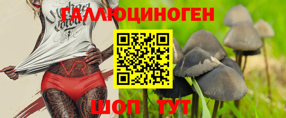 Псилоцибиновые грибы мухоморы  что такое   Полысаево  Вход с VPN 