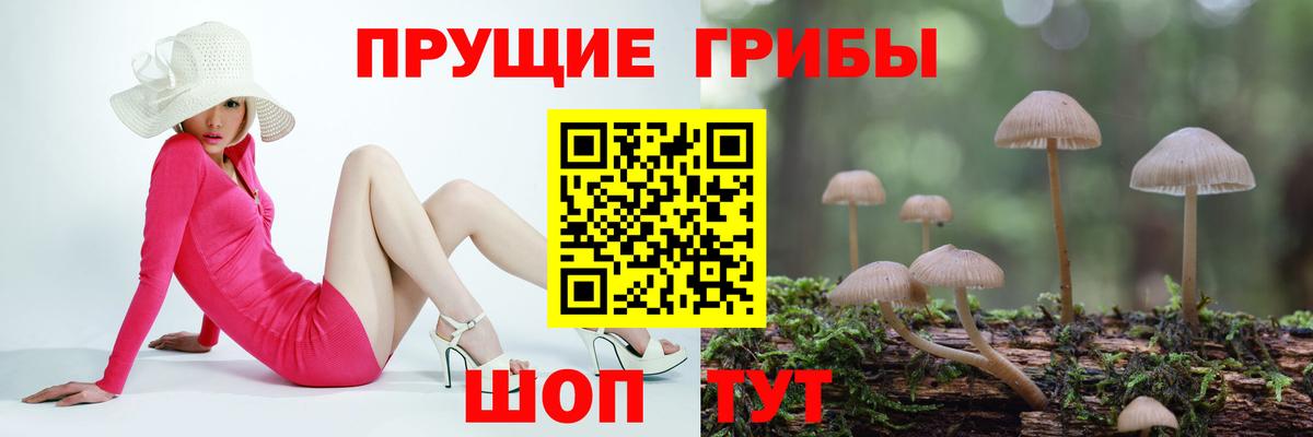 Псилоцибиновые грибы мицелий Полысаево